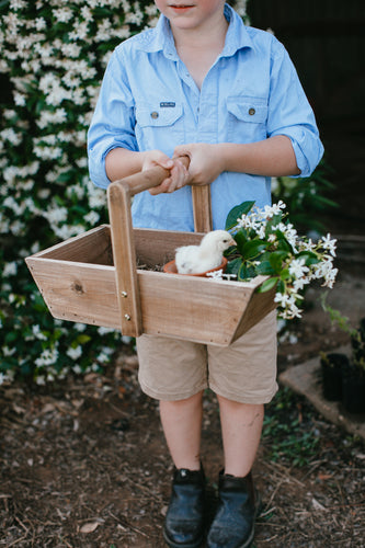 Garden Bundle I flower collector