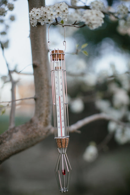 Metal Caged Thermometer